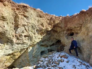 پوریا سیروس پور | دمانتوئید